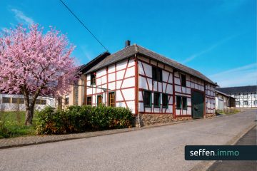 *Platz für Träume: Hof mit 3 Einheiten, großer Halle, Werkstatt, Doppelgarage, Baugrundstück u.v.m.*, 53902 Bad Münstereifel, Bauernhaus