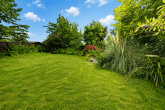 Charmantes Einfamilienhaus mit Garten, Teichanlage und wohnlich nutzbarem Keller in Elsdorf - Garten