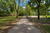 Schönes Wohnen am Park mit Panoramablick: 3 Zimmer ETW mit TG-Stellplatz mitten in Zollstock! - rückwärtiger Vorgebirgspark